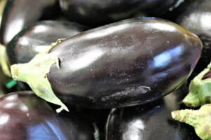 Aubergine