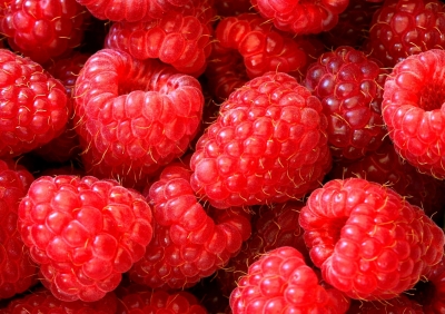 Himbeere