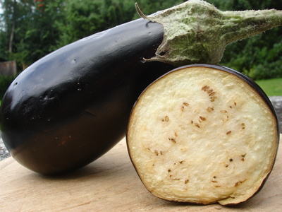 Aubergine