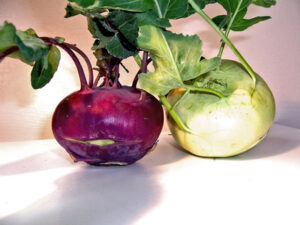 Kohlrabi