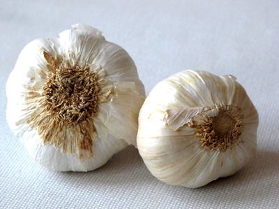 Knoblauch