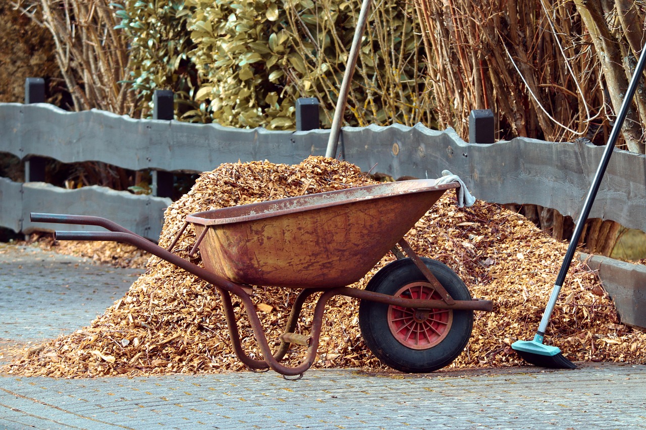 Mulchen im Garten – wie, wann & womit?