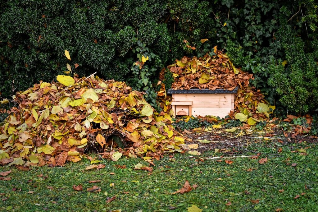 Laubhaufen als Winterquartier für Igel
